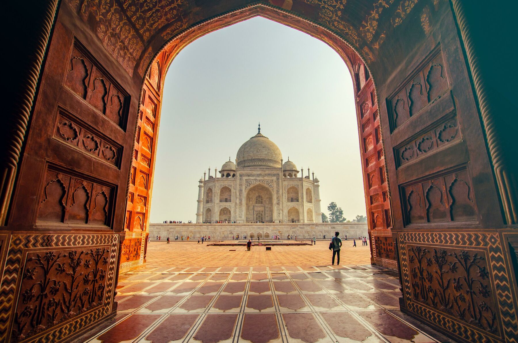 Taj M