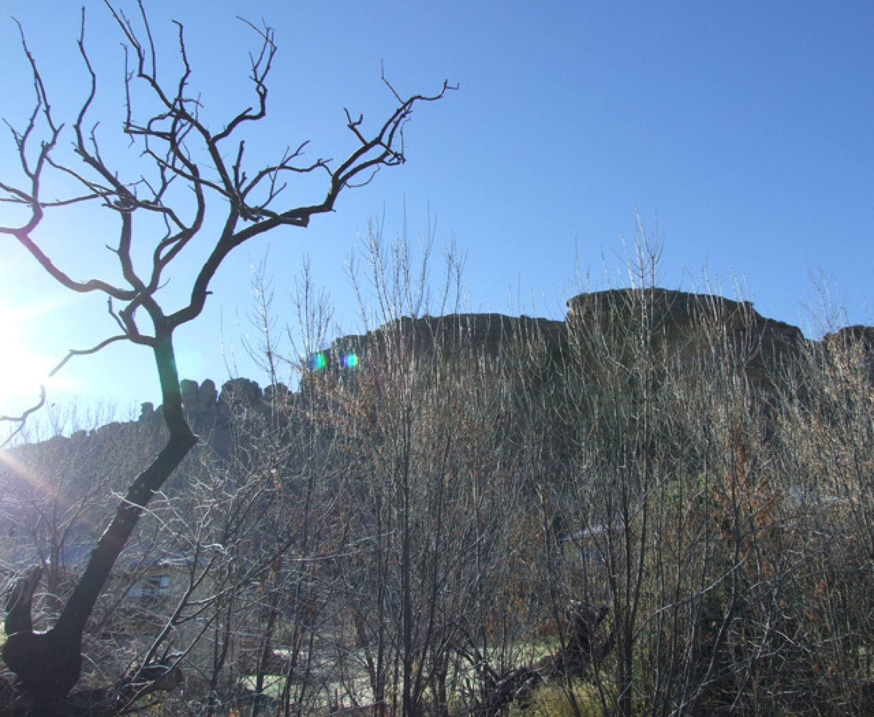 Clarens 1 1