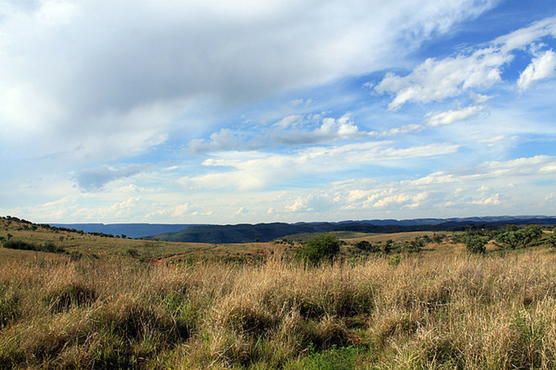 Cradle Of Humankind 1