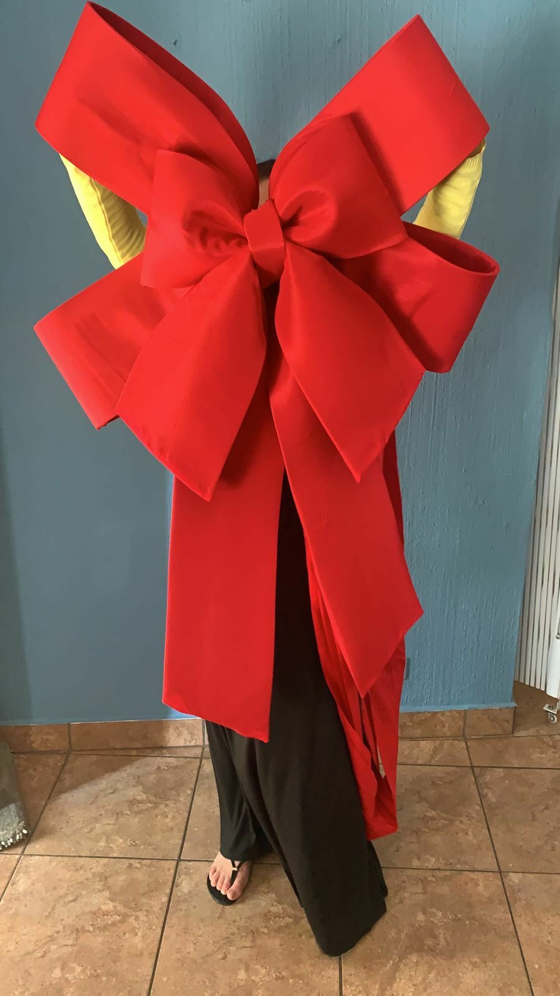 Gibela train bow