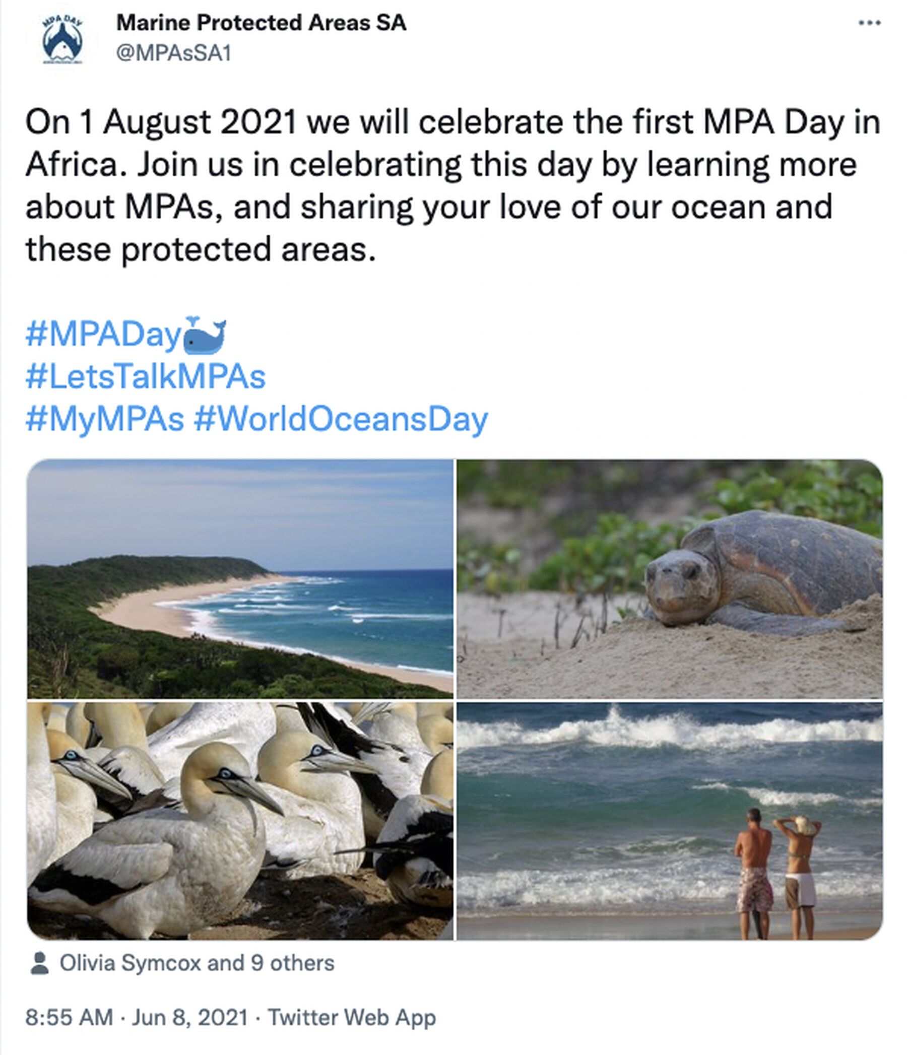 MPA Day Twiter