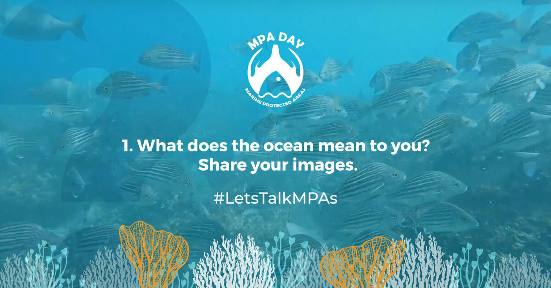 MPA Day Twitter Chat question 1