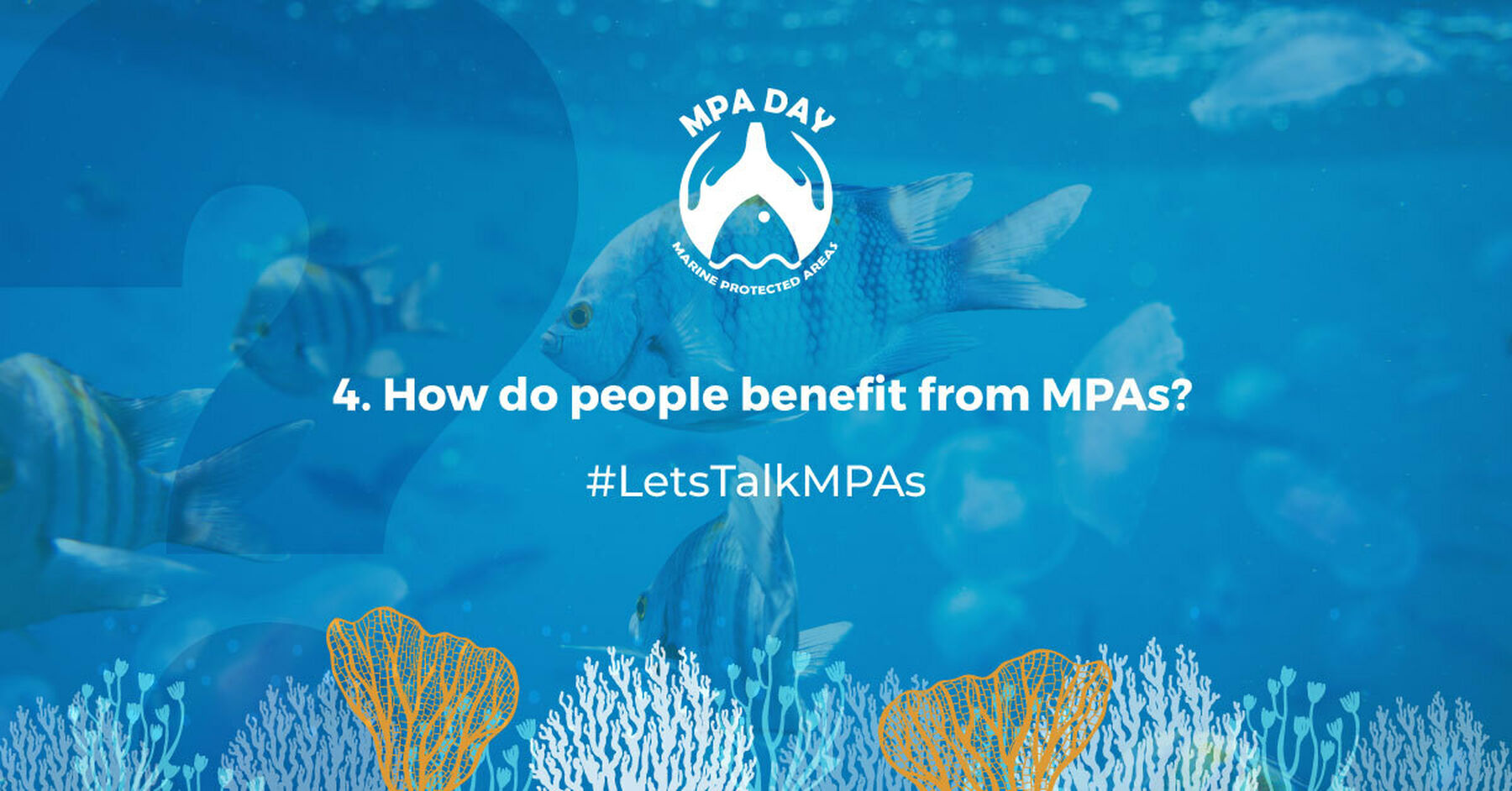 MPA Day Twitter Chat question 4