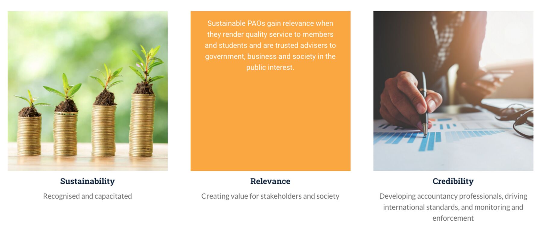 PAFA website design