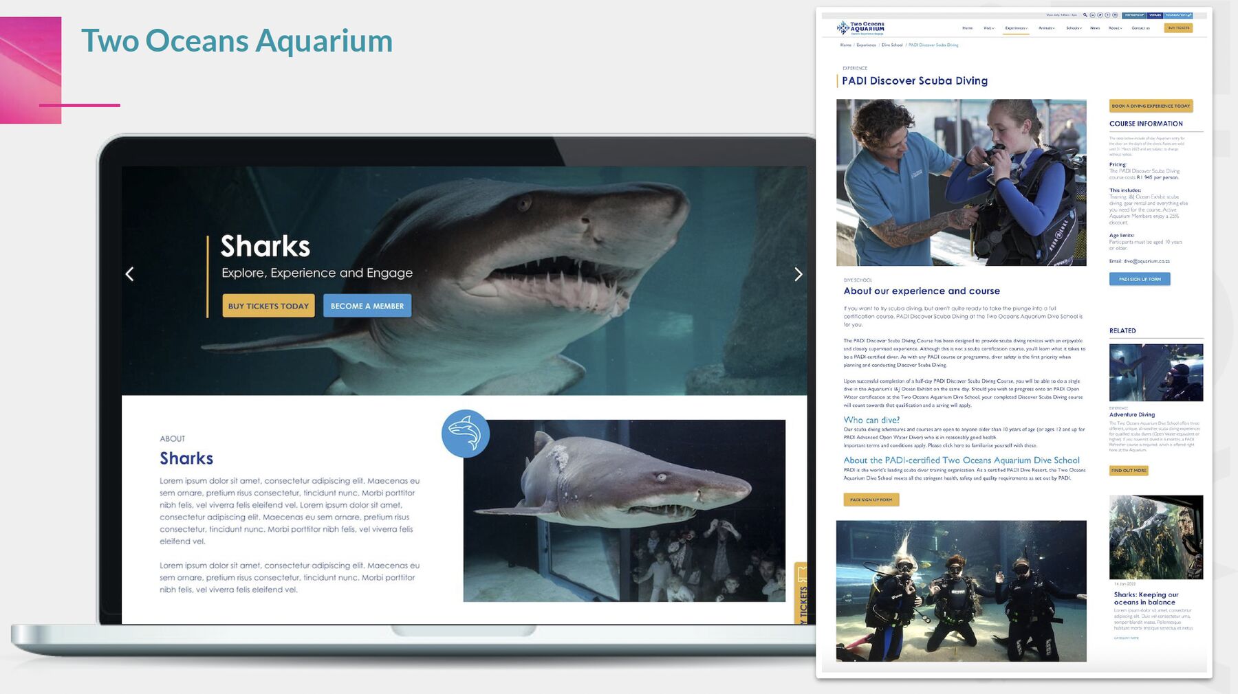 The new website is focused on showcasing the Aquarium, and its foundation's work and goals.