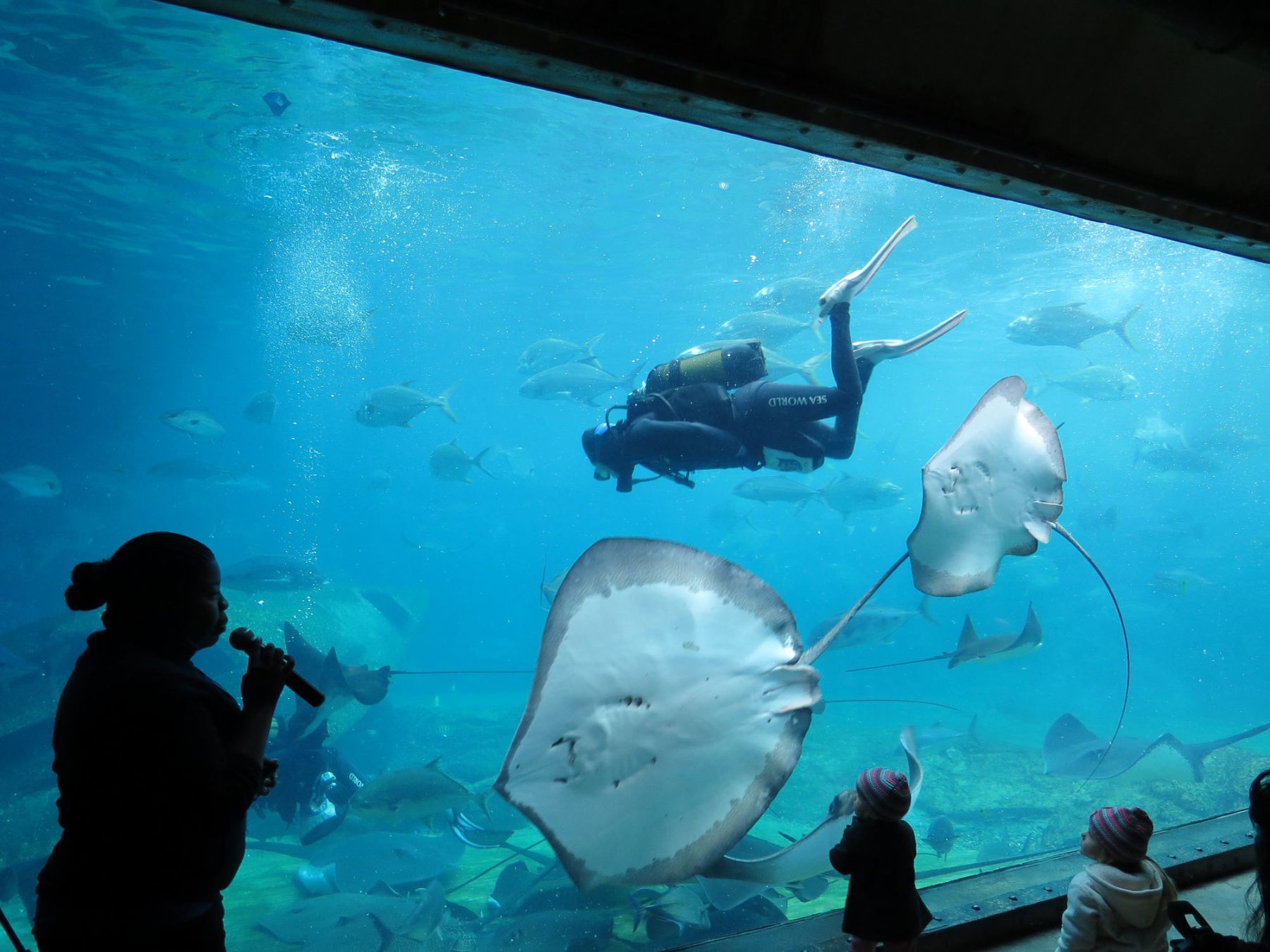 Ushaka Sea World