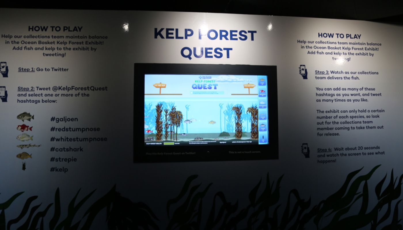 Kelp Forest Quest 1