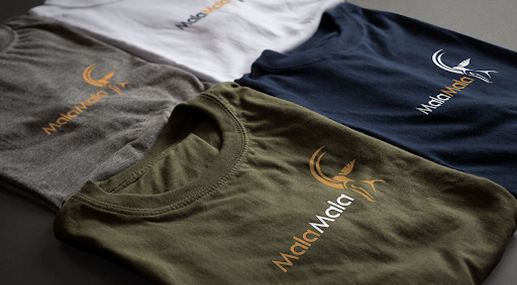 MalaMala mock-up for the client