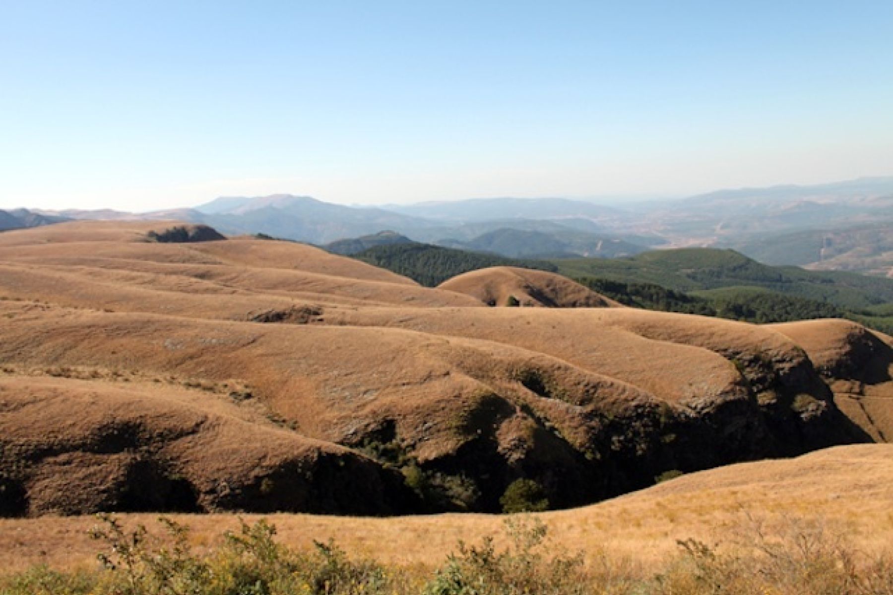 View Of The Long Tom Pass Kruger Lowveld
