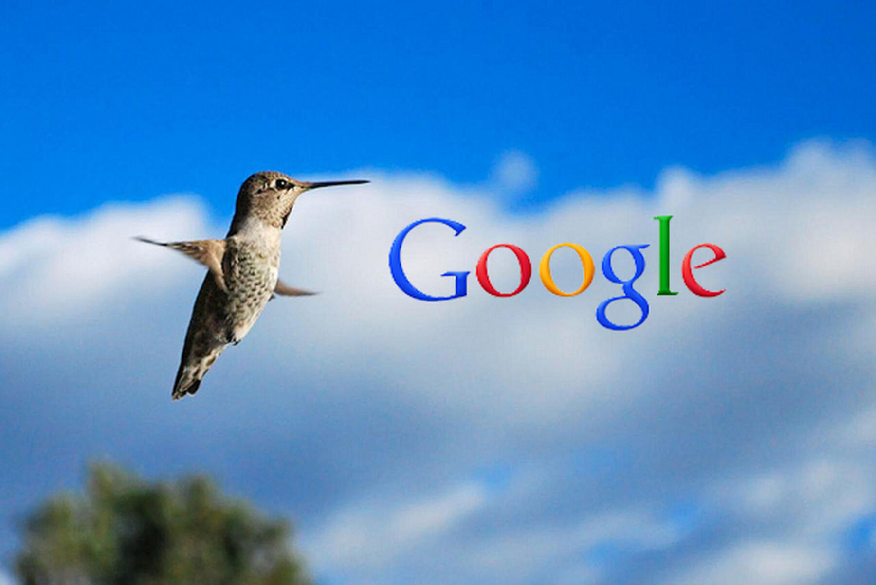 Google Hummingbird Algorithm Seo Tips1 1