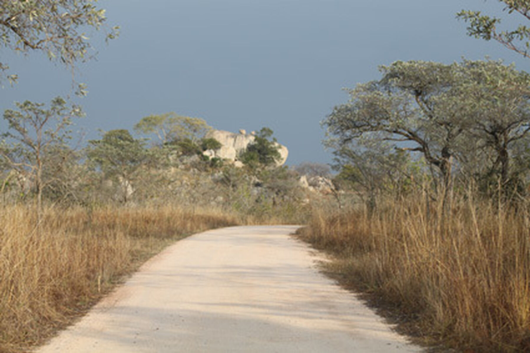 Kruger Road Blog