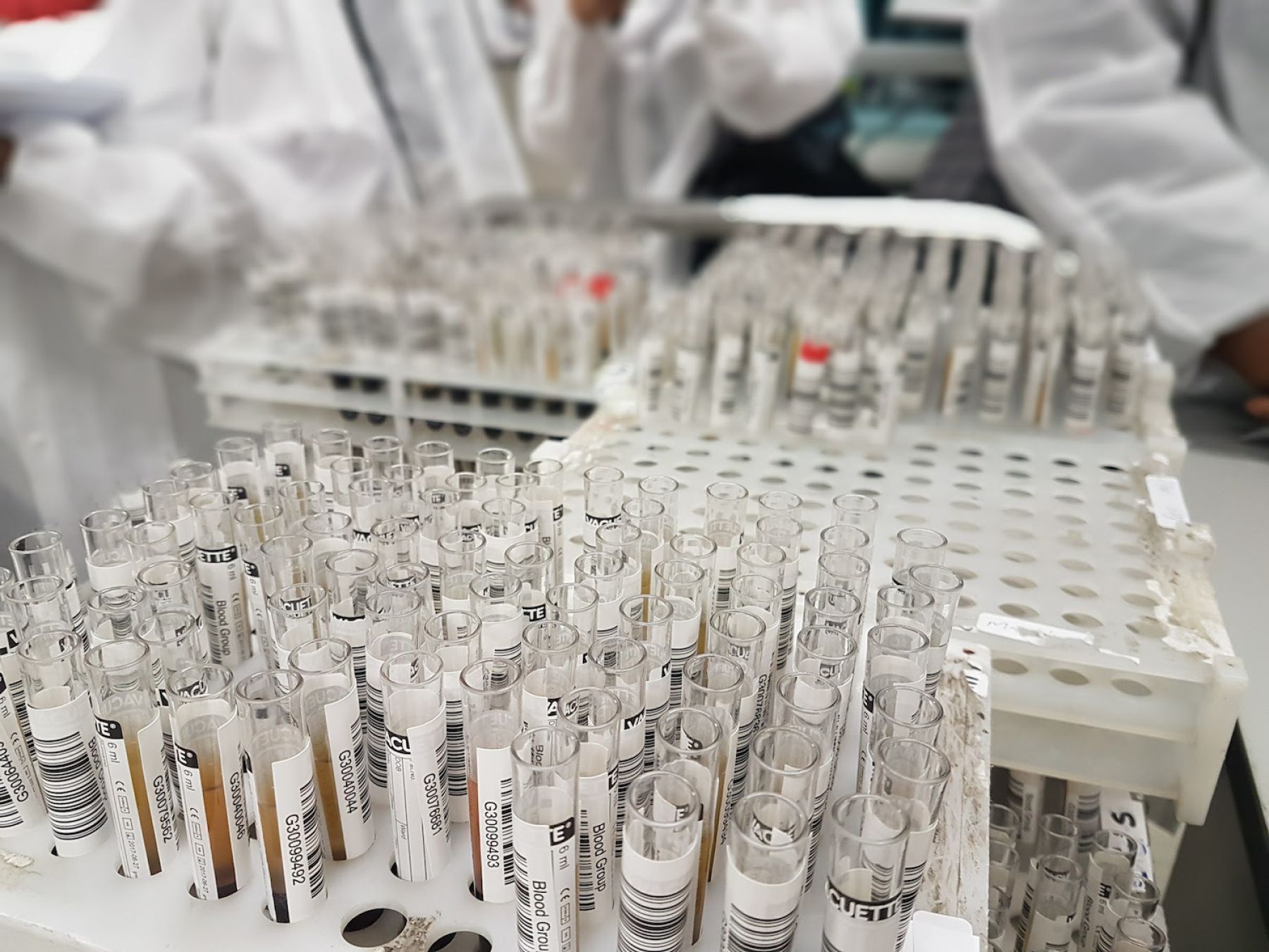 Blood Typing Blood Group Samples