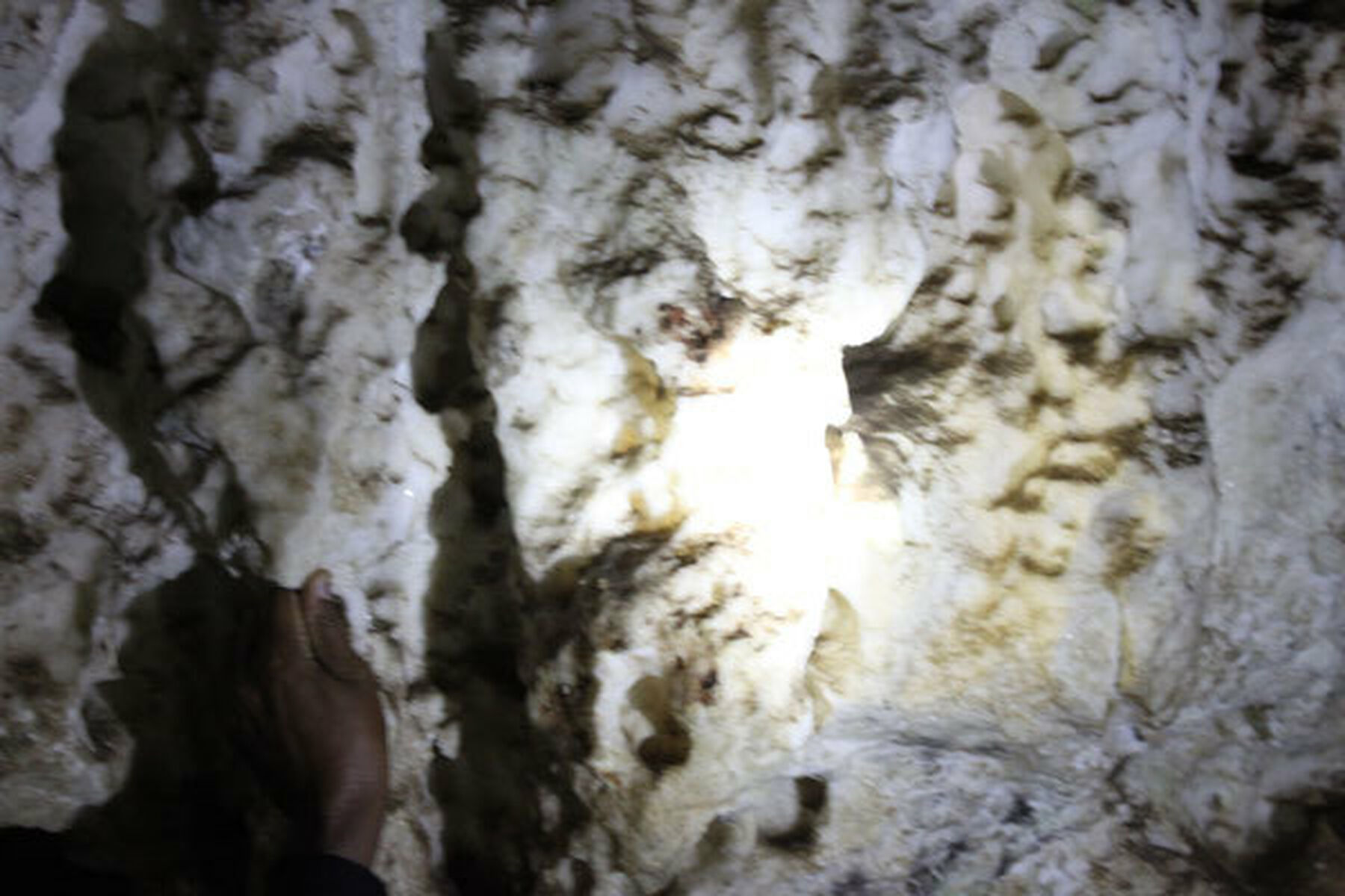 Limestone In The Caves