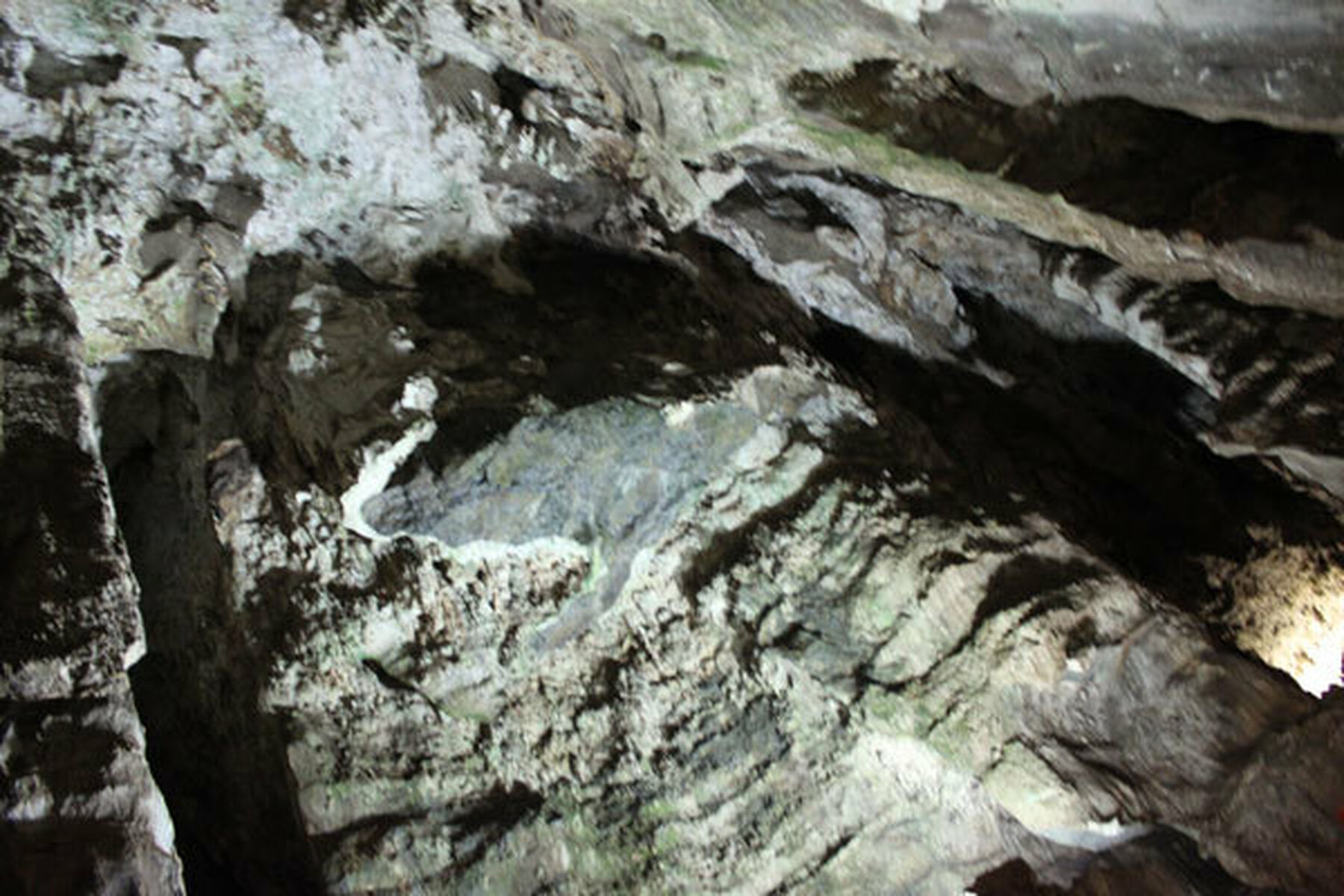 Roof Of Cave