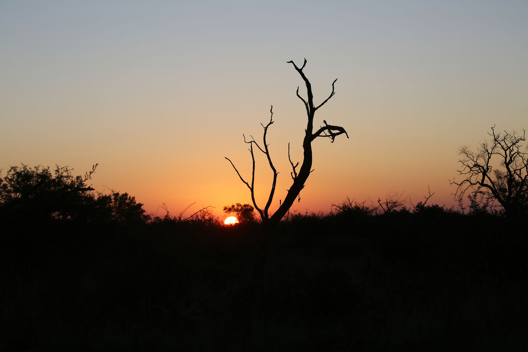 Mosetlha sunrise