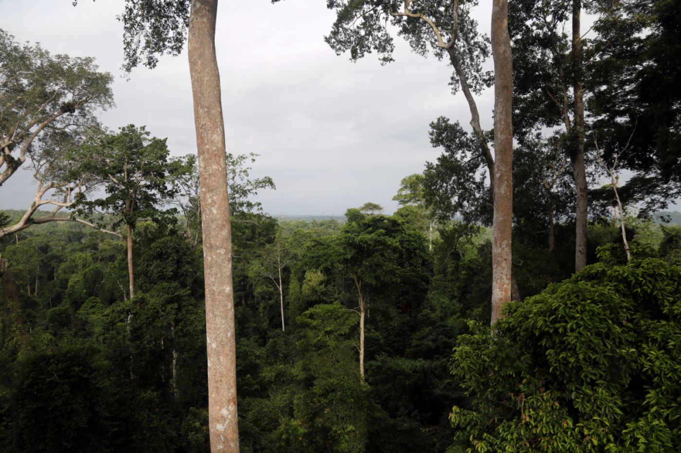 Ghana 30