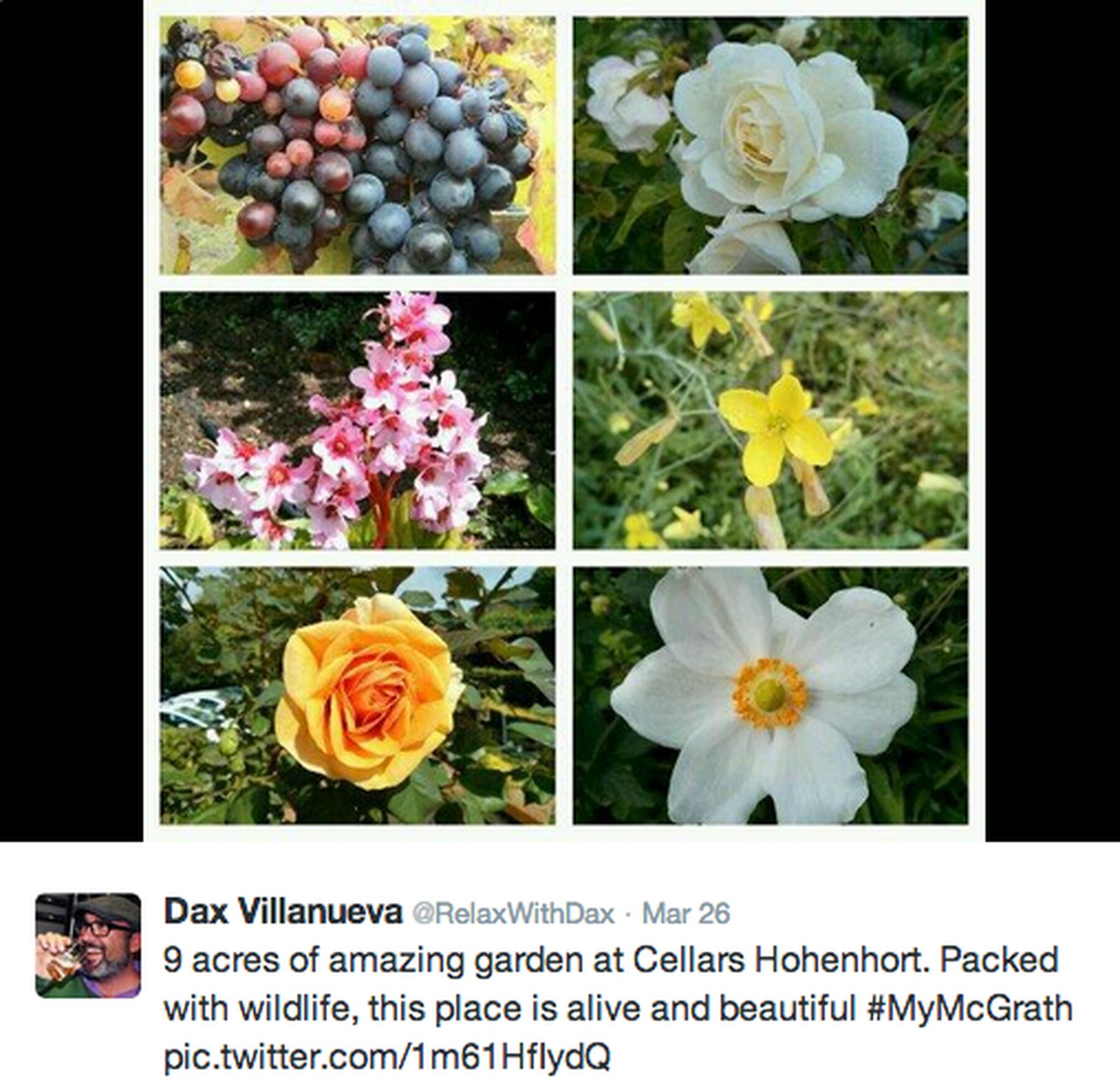 Screen Shot 2014 03 28 At 10 43 49 Am