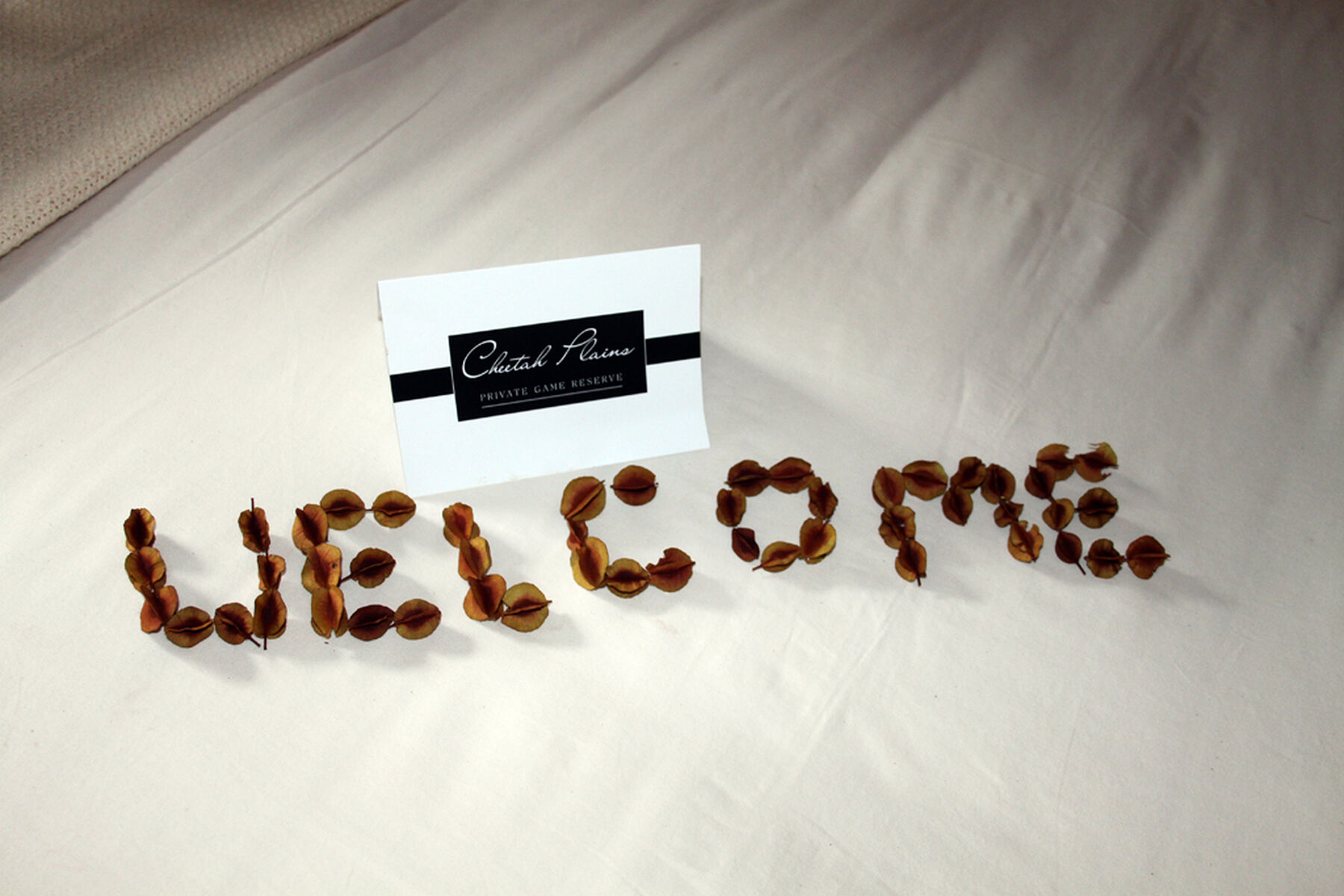 Cheetah Plains Welcome