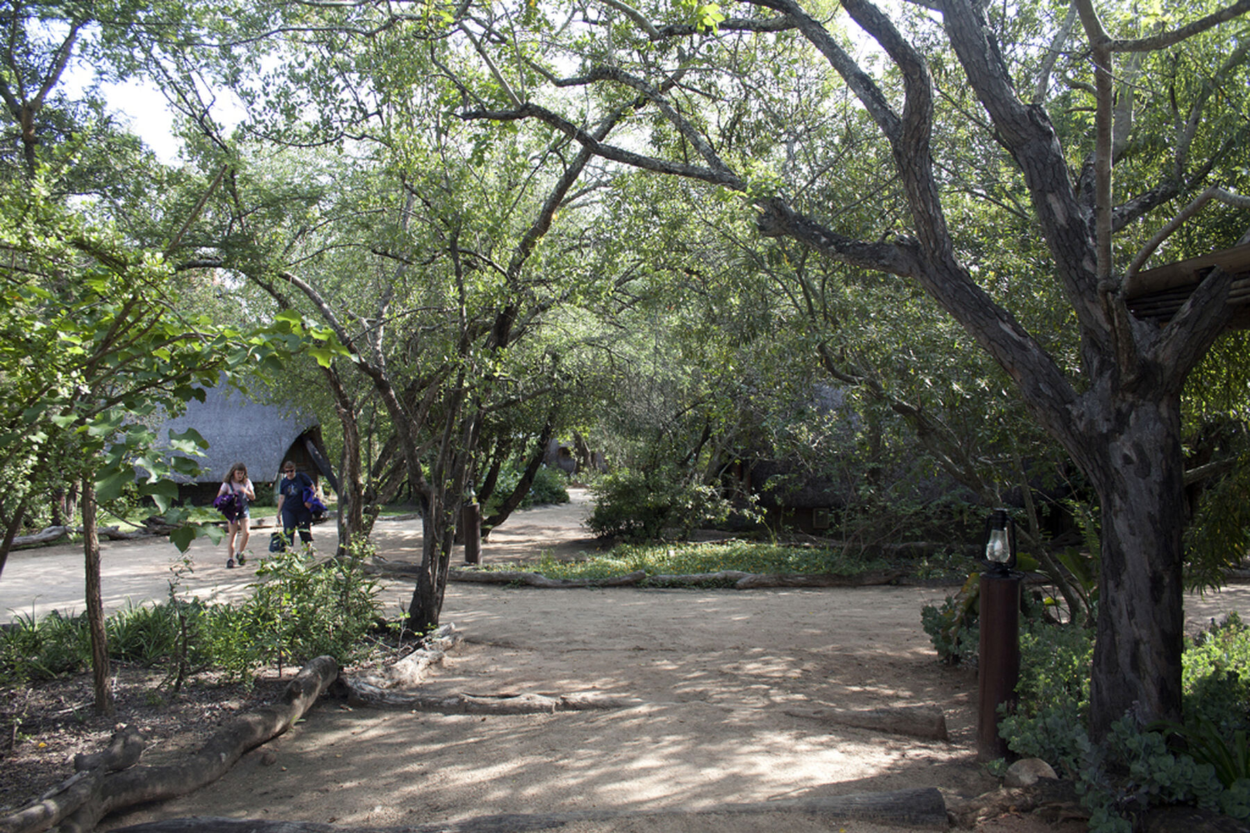 Cheetah Plains Camp