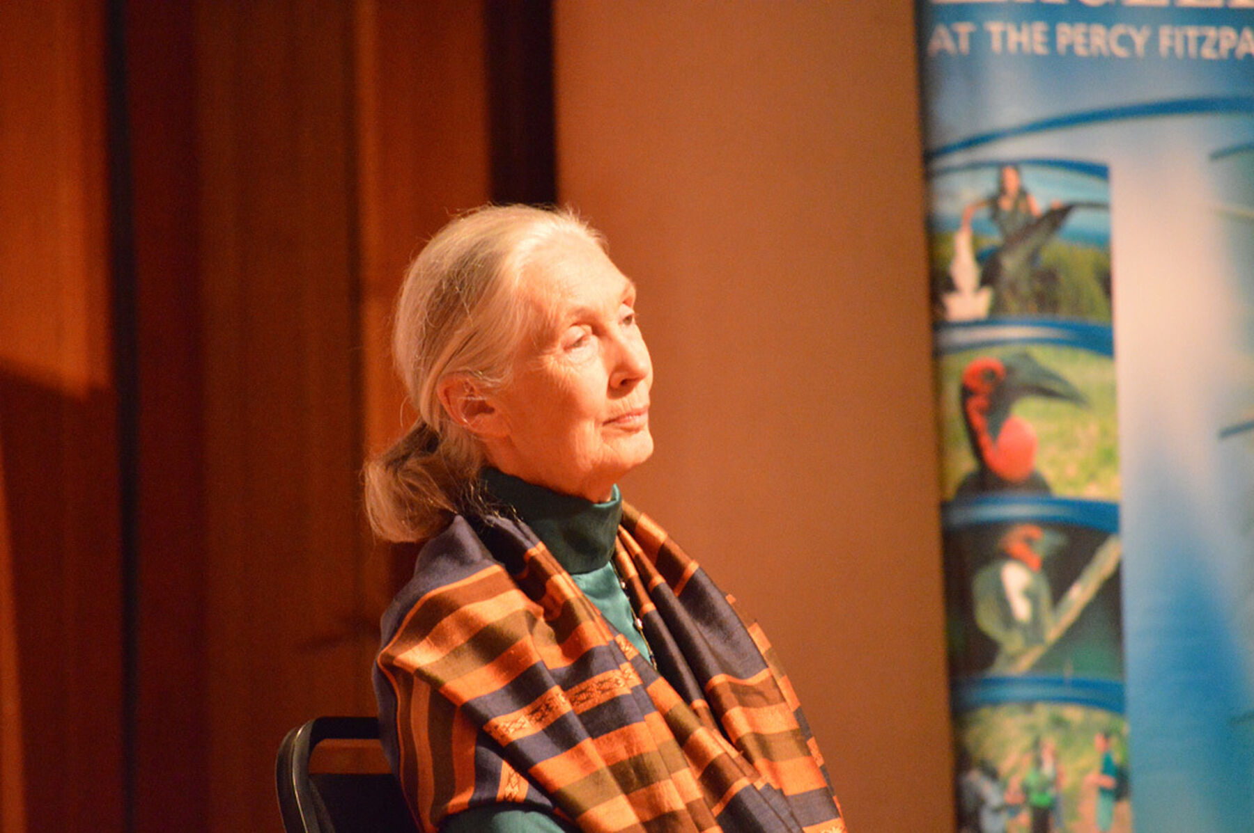 Primatologist Jane Goodall
