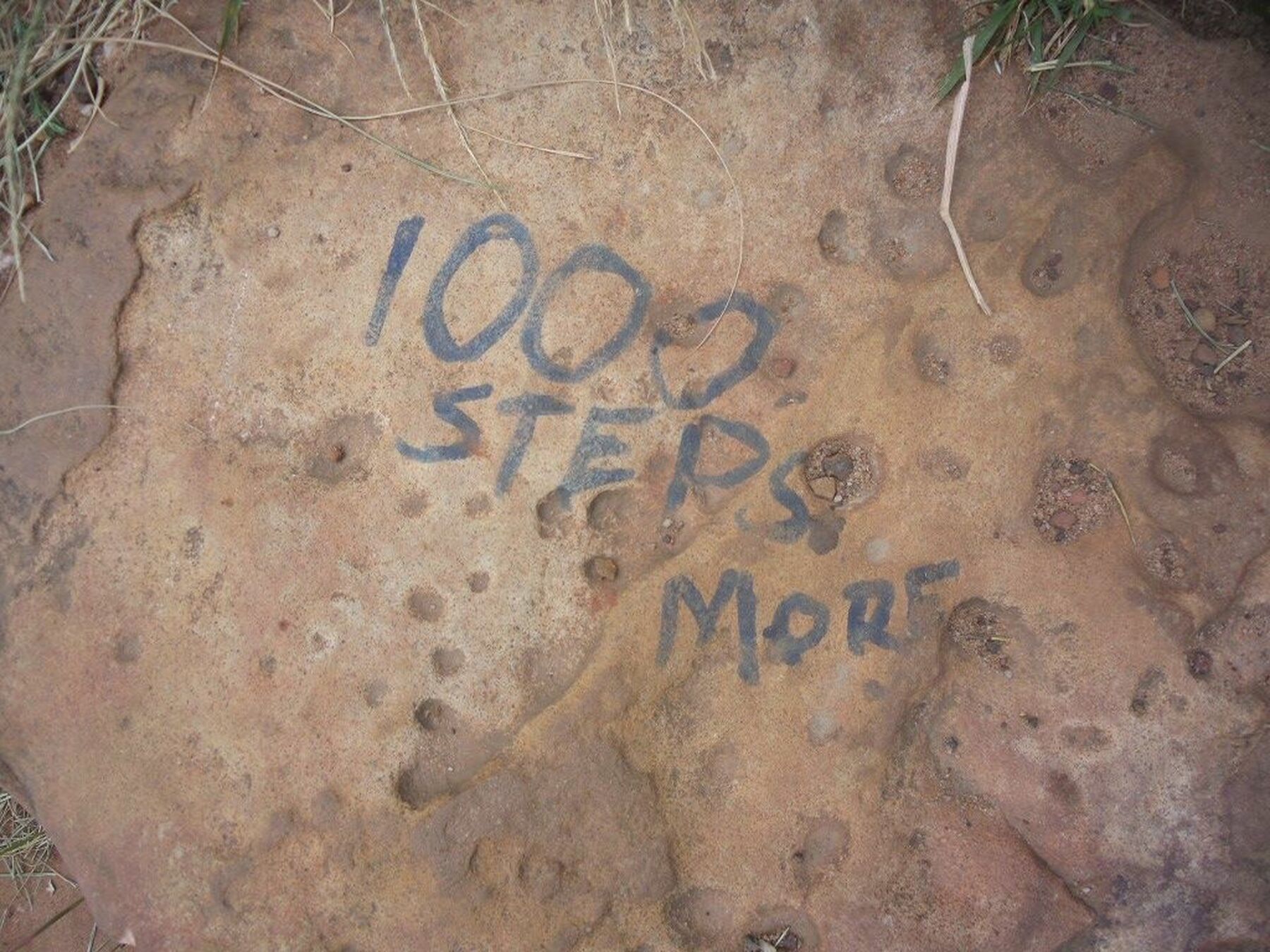 1025406 10151667486401513 1980497283 O