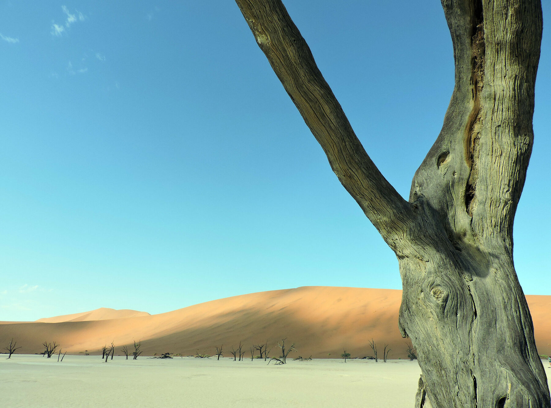 Dead Vlei, Namibia.