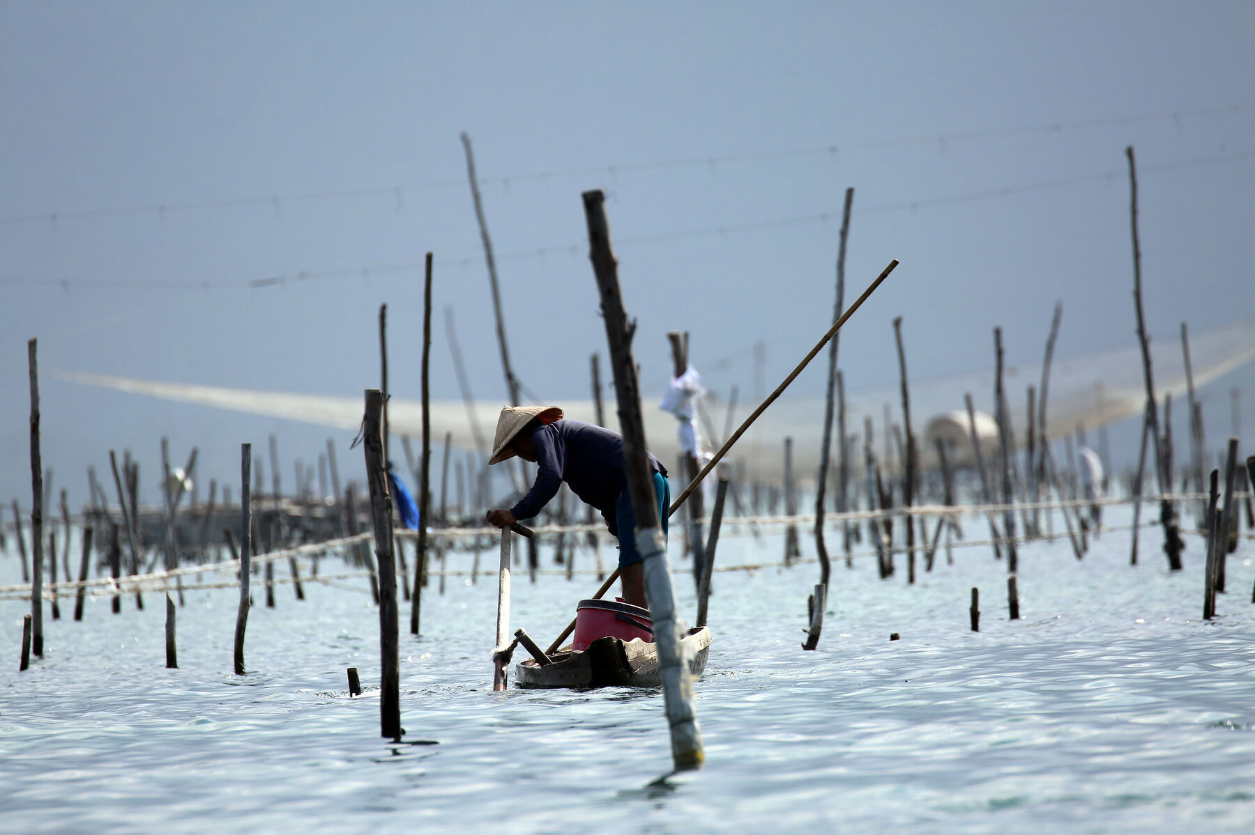 Man fishing near the city of Hue, Vietnam.